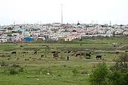 The Shantytown outside of the Allanridge Community Center