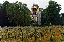 A vineyard in Aloxe-Corton