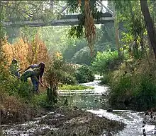 Three high school students stand beside a beautiful creek. Two hold a net in the stream, the third points towards the water.