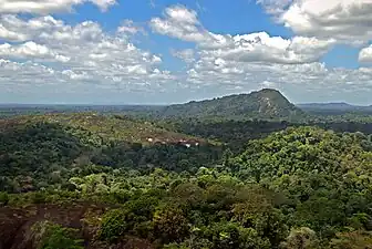 Image 26Central Suriname Nature Reserve seen from the Voltzberg (from Suriname)