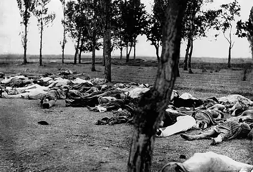 Image 8Picture showing Armenians killed during the Armenian Genocide. Image taken from Ambassador Morgenthau's Story, written by Henry Morgenthau, Sr. and published in 1918.