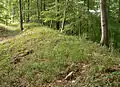 Rampart of the Amelungsburg. Right: the steep slope