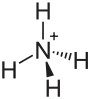 Ammonium cation