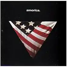 an American flag bikini bottom on a black background. “Amorica” is written in lower case with a period above it.