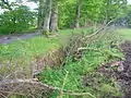 The Ha-ha at Lainshaw near the Chalybeate spring and the Chapelburn.