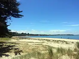 A sandy shore with scattered vegetation and a large body of water in the background