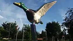 Mallard duck sculpture in Andrew, Alberta : 23 Foot (7.2 Metre) Wingspan. Weighs 1 tonne.