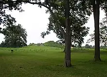 Image 14View of Mound A at Angel Mounds (from History of Indiana)