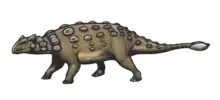 Ankylosaurus magniventris