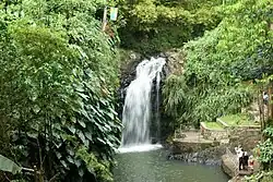 Annandale Waterfalls