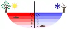 Image 25Temperature distribution in a lake in summer and winter (from Properties of water)