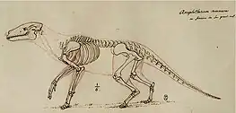 Image 51812 skeletal and muscular reconstruction of Anoplotherium commune by Georges Cuvier based on fossil remains from the Paris Basin (from History of science)