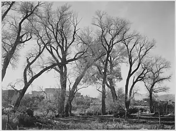 At Taos Pueblo, National Historic Landmark, New Mexico, photograph by Ansel Adams, 1941.