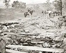 Dead Confederates in the "Bloody Lane" road.