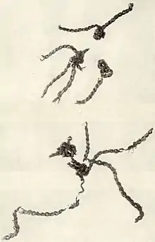 Image 12Pieces of the Antrea Net (8,300 BC), the oldest-known fishing net in the world. (from History of Finland)