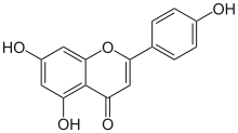 Apigenin