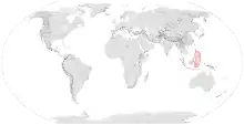 Map showing the range of Apis nigrocincta