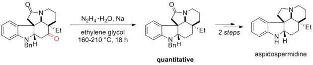 Scheme 18. Synthsesis of Aspidospermidine