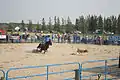 Arborg & District Agricultural Fair and Rodeo