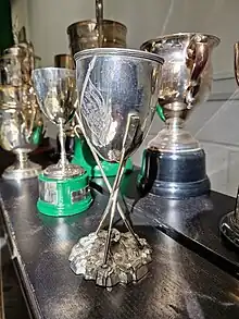 Abingdon Head Traditional Trophies