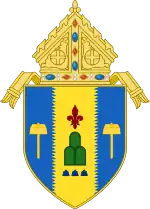 Coat of arms of the Archdiocese of Palo