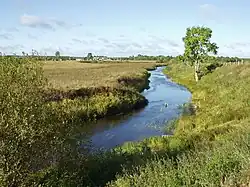 A rural view in Plesetsky District