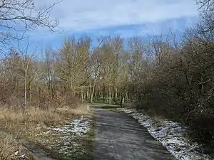 Armentia park after having snowed a little bit