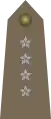 Kapitan(Polish Land Forces)