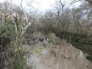 Rain-swollen Caney Creek at the County 112 bridge