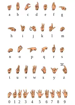 chart of letters in the American manual alphabet, with Latin script equivalents