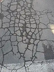 Crocodile cracking showing moisture seepage, a sign of a weakened soil structure beneath the failed asphalt