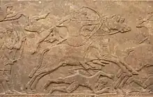 Assyrian cavalry