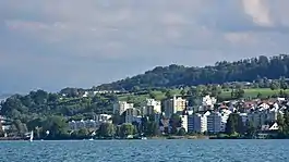 Au as seen from as seen from Zürichsee-Schifffahrtsgesellschaft (ZSG) ship MS Helvetia on Zürichsee