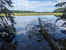 View of the Au Sable Siver Shoreline near Iargo Springs in Iosco County, MI.