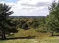 Blick vom Boxberg bei Aukrug-Homfeld