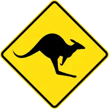 (W5-29) Kangaroos