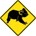 (W5-47) Koalas Crossing