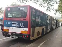 Image 237MAN NG 313 F articulated bus, bodied by Castrosua (CS 40) in TMB, Barcelona. (from Articulated bus)