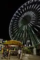 The 45-metre (147 feet) tall Giant Wheel