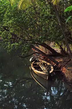 Boat in Azhikode