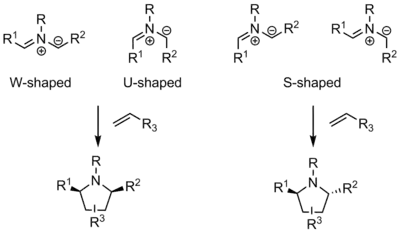 Azomethine ylide shapes