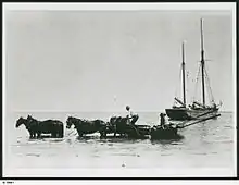 Image 9Loading grain from horse drawn wagons to the ketch 'Free Selector' on Kangaroo Island (from Transport in South Australia)