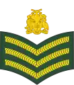 Staff sergeant(Barbados Regiment)