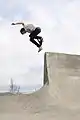 Skateboarder in Grants Pass, Oregon (2010)