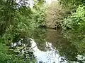 Reflections of trees in the Upper pool, seen from the southern side.