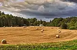 Farmland in Kilmadock areas