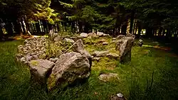 Ballyedmonduff wedge tomb