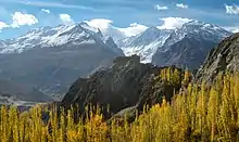 Baltit fort as seen from Ultar Hunza