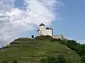 Gutenberg Castle (May 2007)