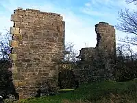 The old Bark Mill on the Mains Burn near Beith